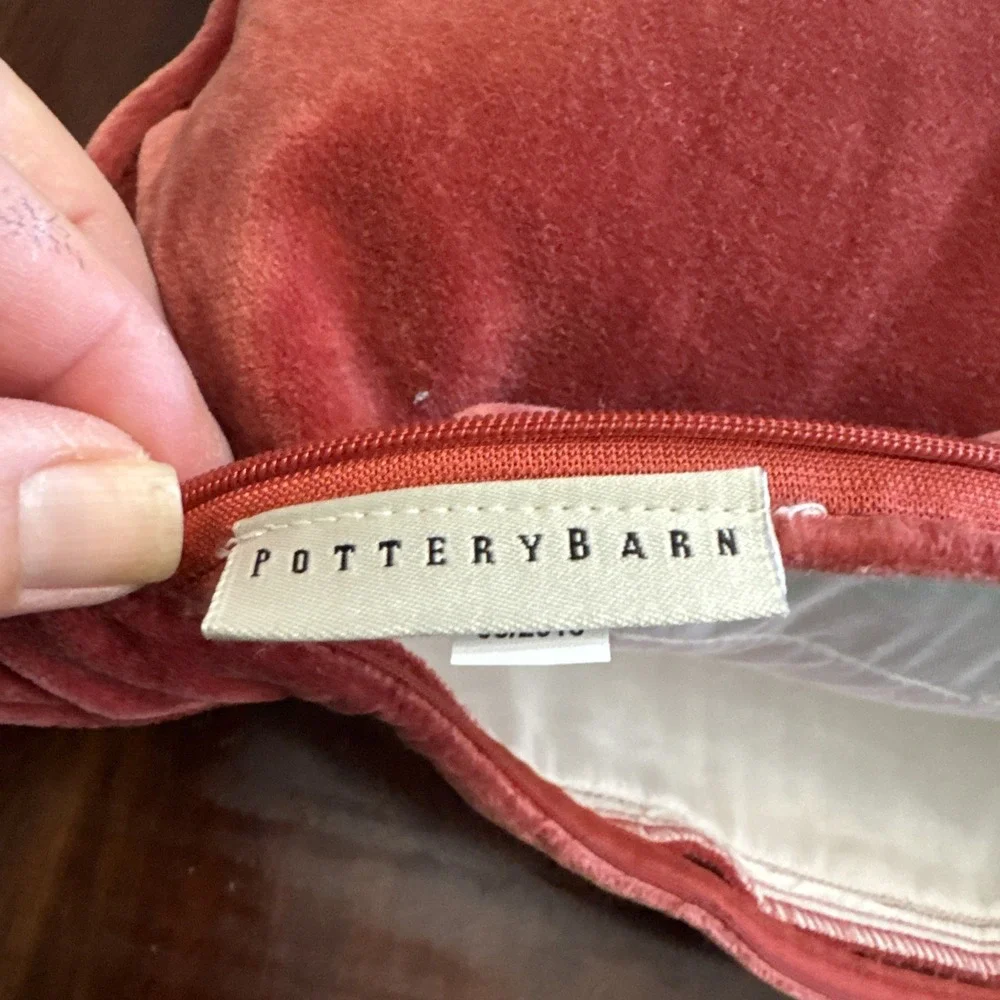 Pottery Barn Throw Pillow Velvet Embroidered‎ Applique Botanical Feather Insert